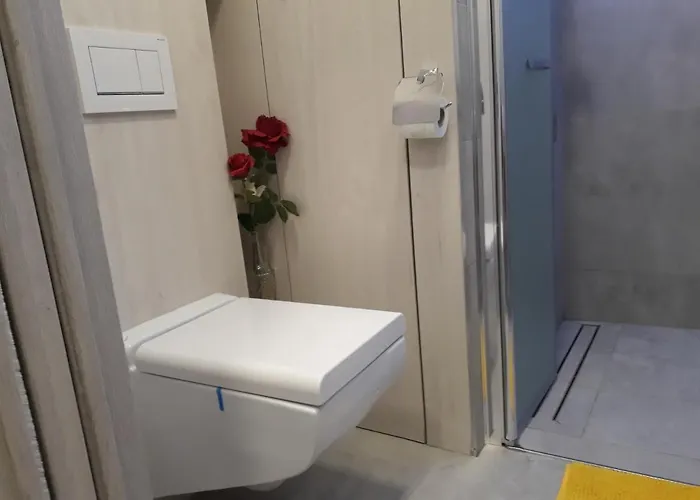 Garsonka Lejlighed Ostrava